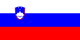 Slovenian flag